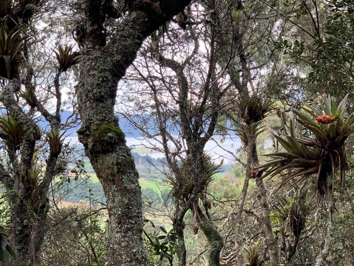 Mirador Bosque Gran Torino Neusa Cogua Luaran gambar
