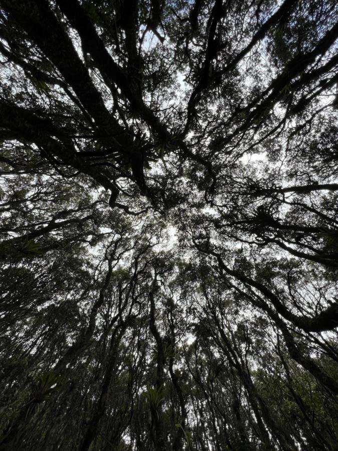 Mirador Bosque Gran Torino Neusa Cogua Luaran gambar
